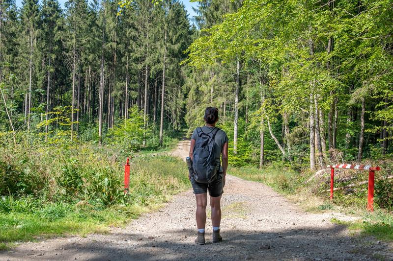 Wandern & Radfahren in der Region
